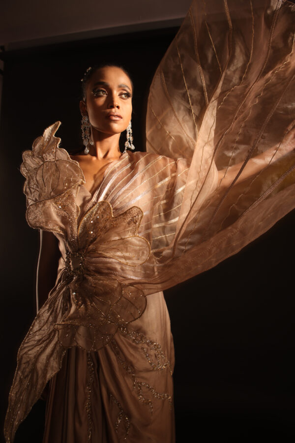 Winged Saree - Image 4
